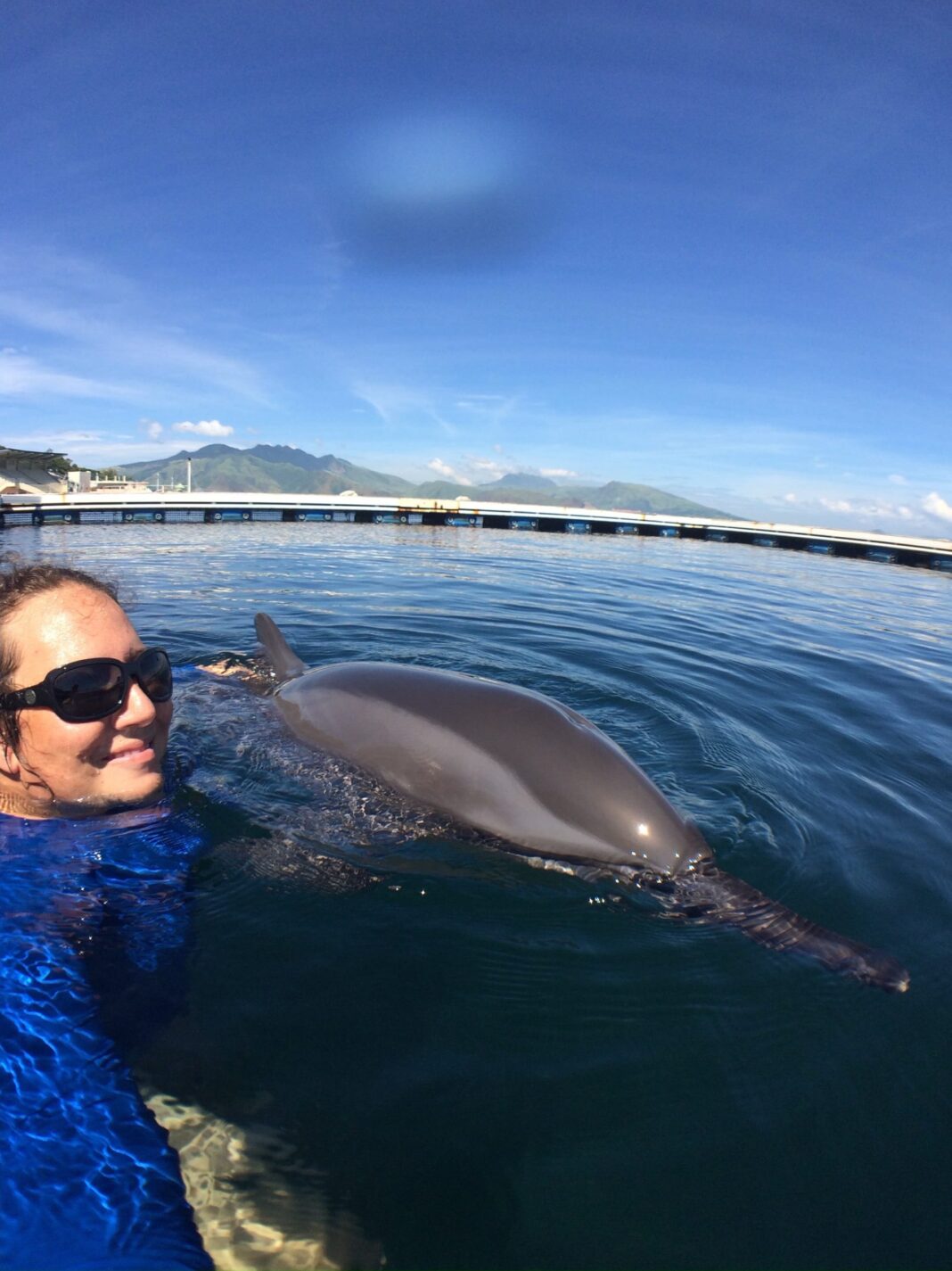 Hawaii : la vie d’Aude au milieu des dauphins et des baleines Hawaii : la vie d’Aude au milieu des dauphins et des baleines